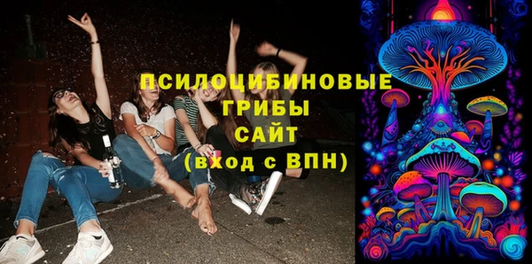 прущая мука Бородино