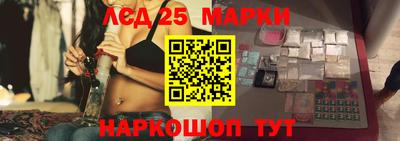 гашик Можга