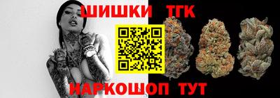 гашик Можга