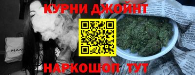 гашик Можга
