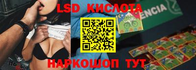 гашик Можга