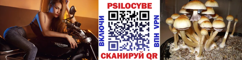 Псилоцибиновые грибы Magic Shrooms  Городец 