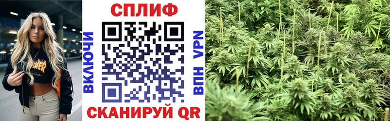 продажа наркотиков Городец Бошки Шишки сатива