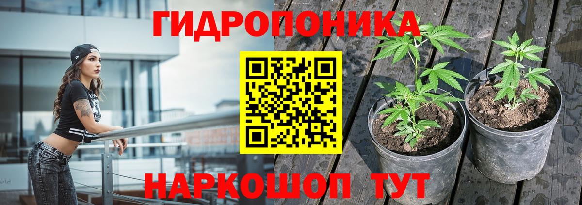 Бошки Шишки Amnesia Городец